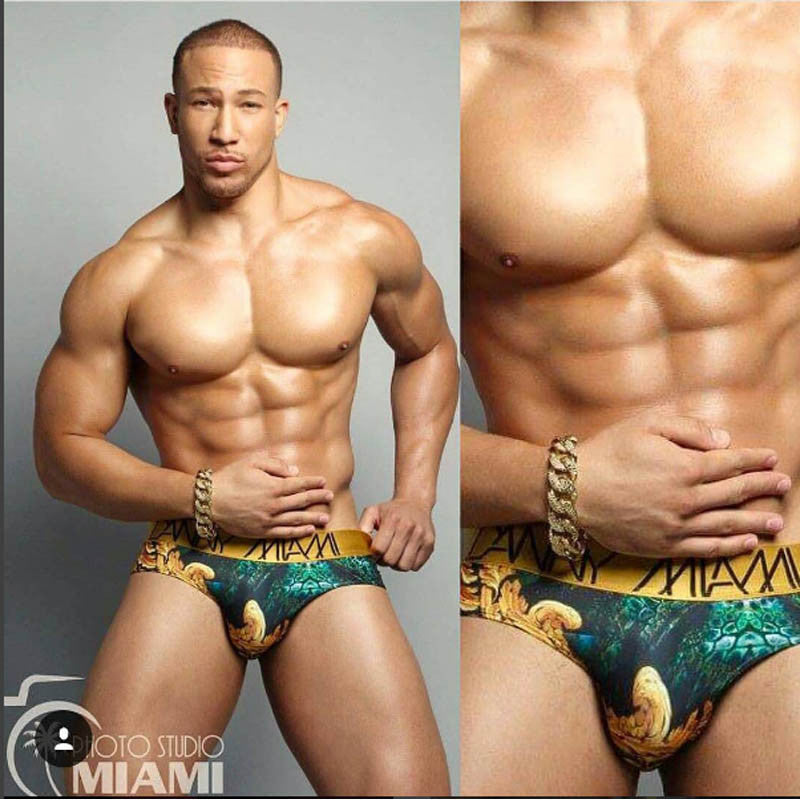 Regal habitat - Underwear Brief -  TOP Fashion Brand DANNY MIAMI  - Undies with sexy low cut