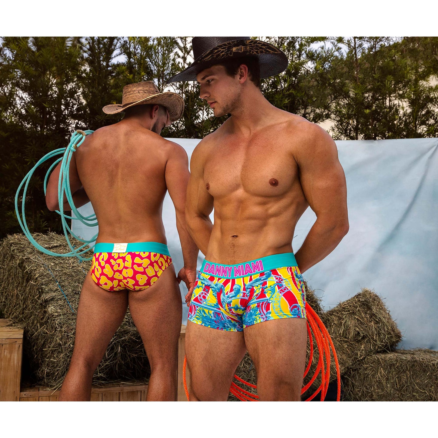 Nathan's Brief