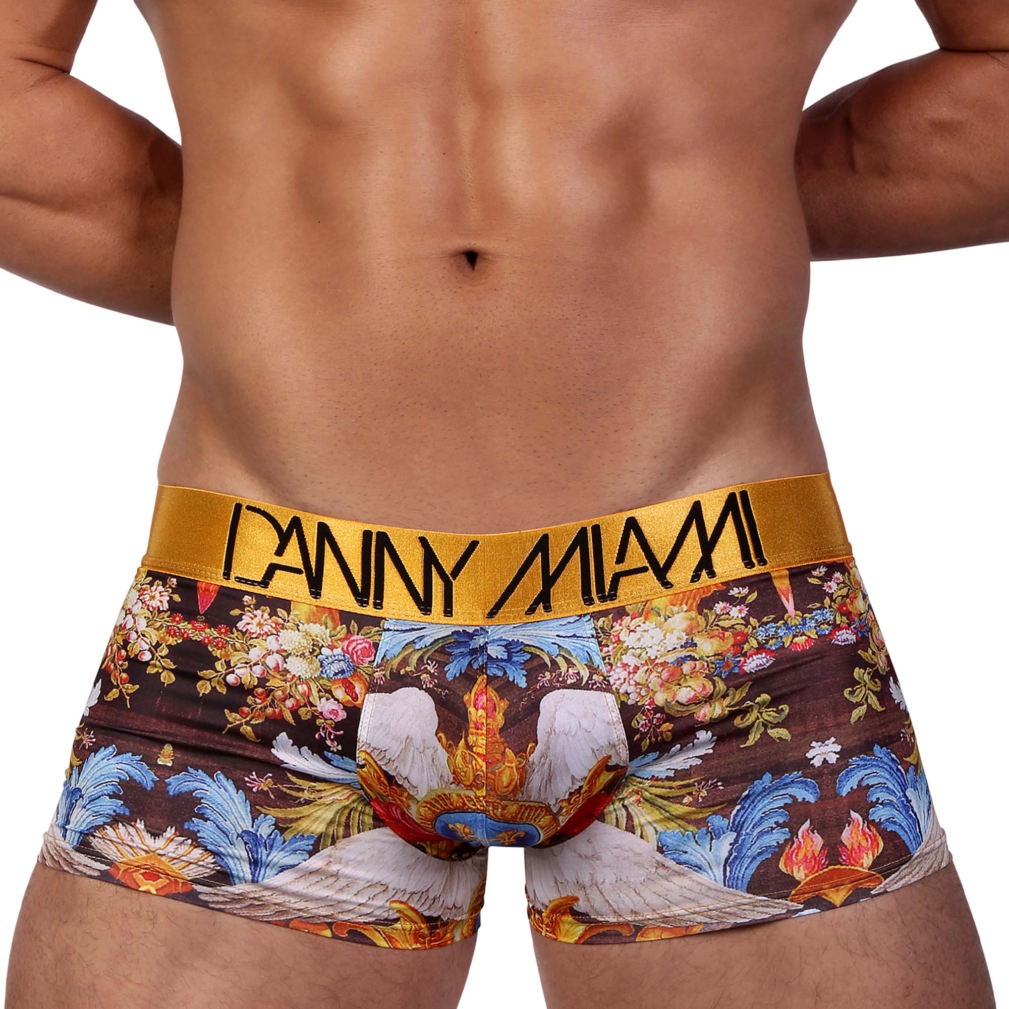 Gold Black Mini Brief - Men Underwear Brief - Men's Briefs - Men's Printed  Underwear - DANNY MIAMI