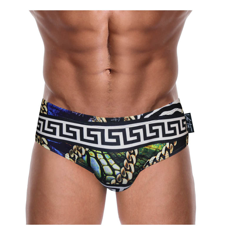 DANNY MIAMI Swimwear - Blue Print - Men Swimsuit Brief