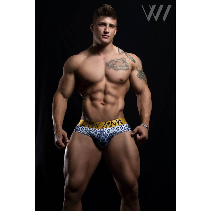 Feline - Underwear Brief -  TOP Fashion Brand DANNY MIAMI  - Undies with sexy low cut 